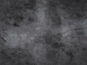 Strap On Morning Wood 15/16