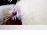 Eating stepmom’s asshole after she went to the bathroom 4/16