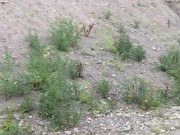 nerdy faery loves too pee 5/16