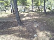 Public flasher in stockings sucks a stranger’s dick and gets caught fucking him - Dirty Dasha 5/16