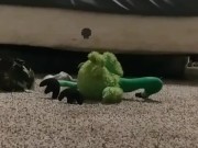 BBC sneaks in and Fucks white BBW 8/16