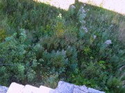 I PURPOSELY LET MY STEPSISTER GO FIRST WHEN WE WERE CLIMBING THE PUBLIC FORTRESS! ANGELINAPUX 4K 15/16