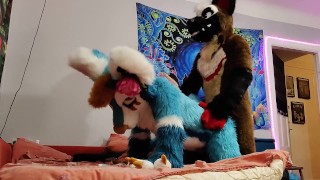 Dog bangs a fox and cums on his face - Fursuit yiff - RedTube