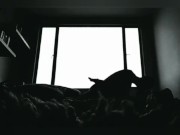 Our sex is music to our ears 1/16