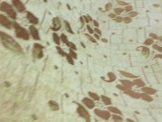 Саша посмотри на мои трусики 1/16