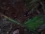 Fucking in public 4/16