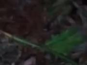 Fucking in public 5/16