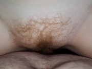 Kittens pussy pov 2/16