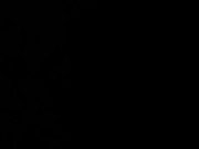 Il mio ex sbaglia buco mentre mi scopa 16/16