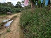 Blowjob and anal fuck for a brunette with a big ass outdoors 2/16