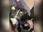 Big tit bella bossoms69 swallowing 2 bbc’s double barrel style part 3 (snippet)  7/16