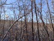 A warming juicy Blowjob in the winter forest 1/16