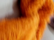 My husband makes me pleasant with his tongue 7/16