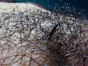 Close up of very hairy pussy! Hairy fetish!