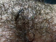 Close up of very hairy pussy! Hairy fetish! 9/16