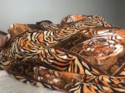 Acordei sentindo a rola dura do safado na minha bunda, já meteu gostoso na minha buceta e gozou 3/16