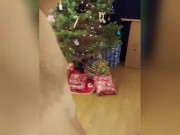 Slut pounding xmas eve  9/16