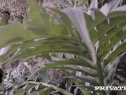 Private com - Perky Tits Veronica Leal Mouth Fucked Outdoors 1/16