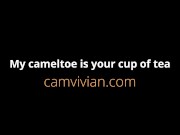 My cameltoe is your cup of tea 1/16