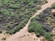 CAUGHT fucking! A jet skier got a live show! 14/16