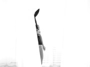 Sexy bunny dance 10/16