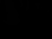 MONICA WEST 101 (The Movie) 1/16