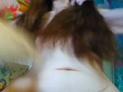 Fetish Queen PinkMoonLust Talks About Nipple Orgasm Video For ONLFANS While Brushing Long Dark Hair 9/16