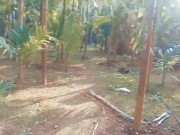 TIK TOK TEENY GIRL PEEING IN COCONUT GROVE. PUBLIC LONG PISS ANGEL FOWLEL 2/16