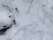 on my knees giving head in the snow 1/16