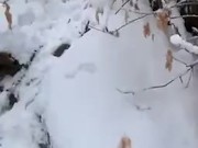 on my knees giving head in the snow 11/16