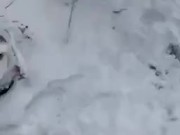 on my knees giving head in the snow 13/16