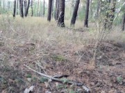 I like to masturbate naked in the park when I can be seen 3/16