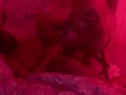 Hardcore Fucking in isolation! 11/16