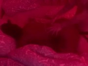 Hardcore Fucking in isolation! 4/16