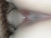 verdammte Stiefschwester 10/16