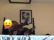 BBC fuck big girl in room 14/16