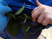 Brennnesseln öffentlich in den BH gestopft - Directors cut 6/16