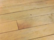 FUCKING MY STEP STOOL WHILE MY STEP LADDER WATCHES 16/16