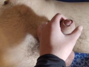 ДОМАШНЕЕ ПОРНО, ТРАХАЮ ВОЛОСАТУЮ КИСКУ 1/16