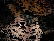 Melinda pegging her sub in the ass. 1/16