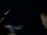 Super Sexy PnP Deepthroatin' Kitty 4/16