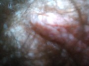 Onlyfans PinkMoonLust: Are you SURE my hairy pussy pubic hair bush is STILL BUSHY? Do you see hair? 5/16