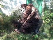 melady and cindy riding together on slave 15/16