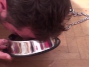 human dog joschi have to eat dog food