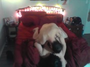 Horny slut wakes husband grinds on that big cock for multiple orgasms 9/16