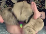 Getting Fucked By My Teddy Bear (OF Preview) 4/16