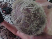 PUNK SLUT JULY PT 2 14/16