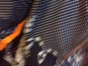 Hardcore pee suffering on the floor do you want to drink all? 5/16