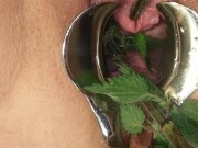 BDSM Pussy Torture - Speculum Stretched Nettles in her Peehole & Vagina Till she pisses herself 10/16