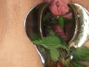 BDSM Pussy Torture - Speculum Stretched Nettles in her Peehole & Vagina Till she pisses herself 12/16